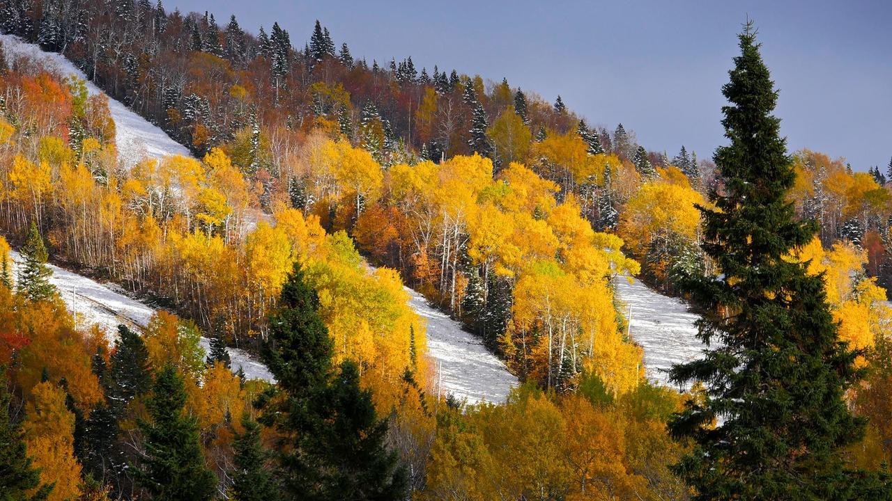 Les Bouleaux - Les Chalets Spa Canada Ла-Мальбе Екстер'єр фото